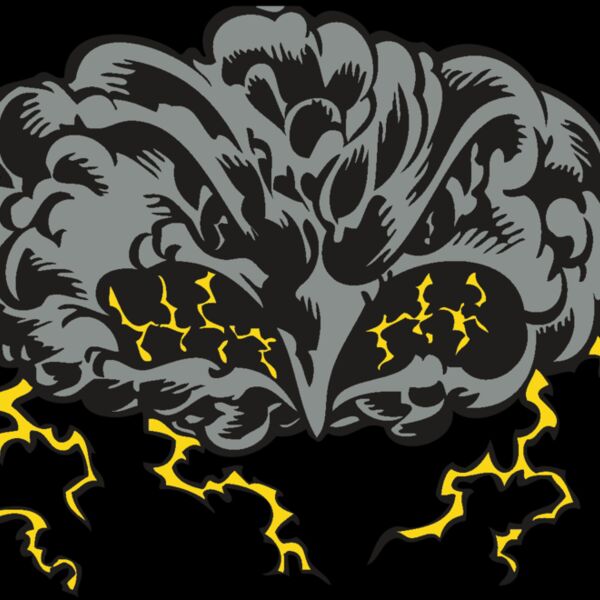 BAW STORM 11 RC Thumbnail