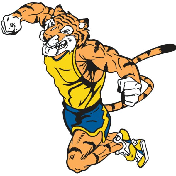 AR9 TIGER TRK RQC Thumbnail