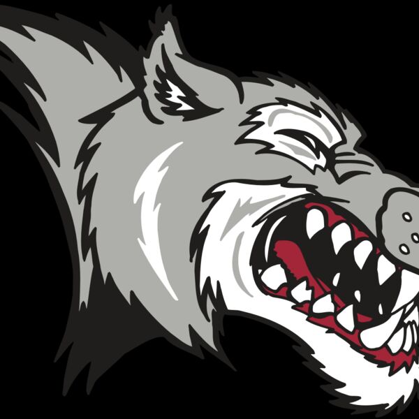 AR WOLF 15 RC Thumbnail