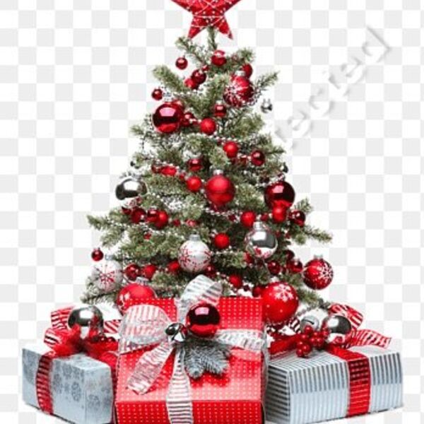 Christmas Tree Thumbnail