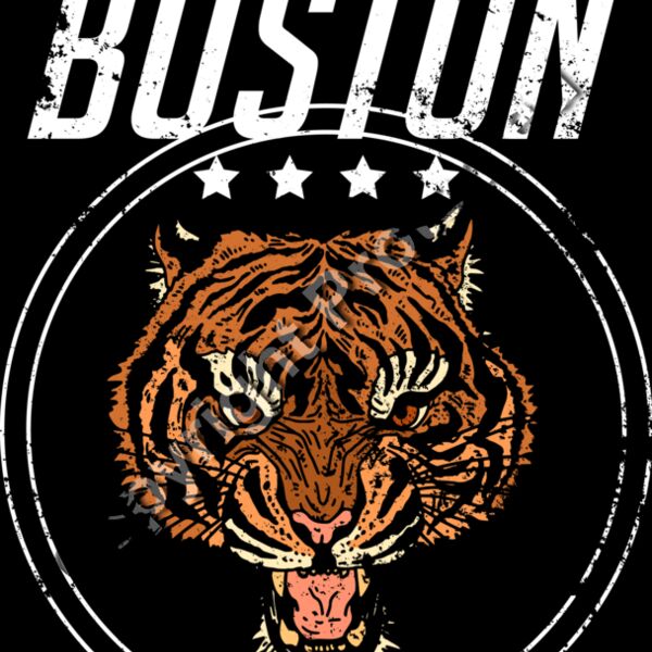 Boston Tiger Thumbnail
