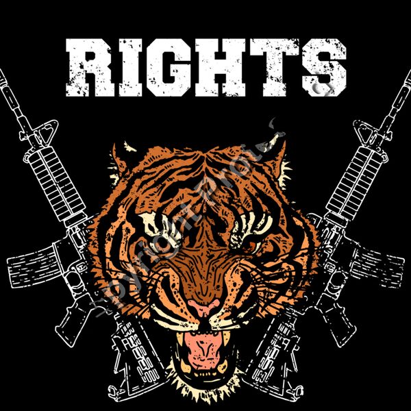 Human Rights Thumbnail