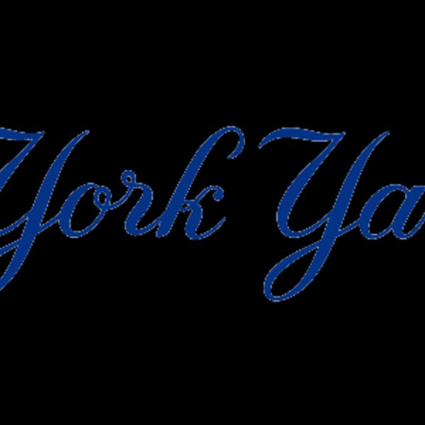New York Yankees Logo Front Thumbnail