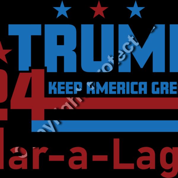 Trump 2024 28 Thumbnail
