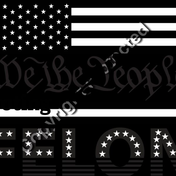 We the People 2 Thumbnail