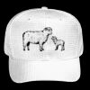 OTTO CAP 6 Panel Mid Profile Baseball Cap Thumbnail