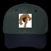 OTTO CAP 6 Panel Mid Profile Baseball Cap Thumbnail