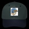OTTO CAP 6 Panel Mid Profile Baseball Cap Thumbnail