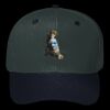 OTTO CAP 6 Panel Mid Profile Baseball Cap Thumbnail