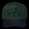 OTTO CAP 6 Panel Mid Profile Baseball Cap Thumbnail
