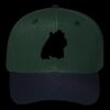 OTTO CAP 6 Panel Mid Profile Baseball Cap Thumbnail